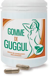 Agent de combustion de graisses